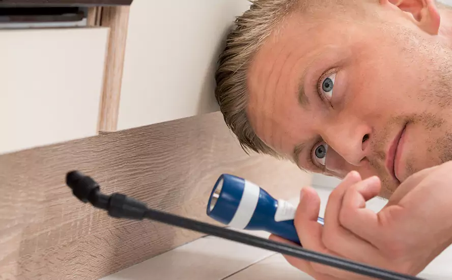 Top-Notch Pest Control in Prosper