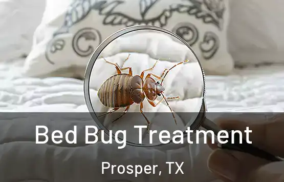  Bed Bug Treatment Prosper, TX