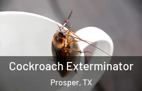  Cockroach Exterminator Prosper, TX