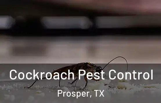  Cockroach Pest Control Prosper, TX