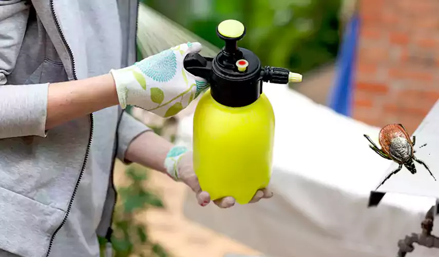 Ticks Pest Control Prosper, Texas