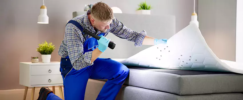 bed-bug-treatment in Prosper, TX