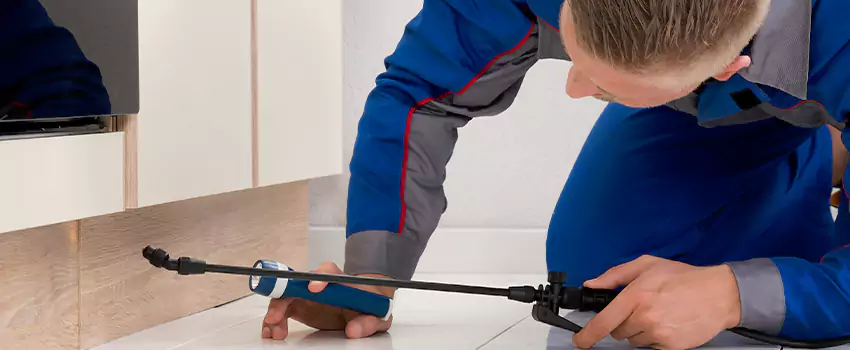 Commercial Pest Control for Offices in Prosper, TX