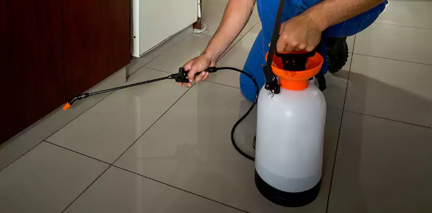 Commercial Pest Extermination for Offices in Prosper, TX