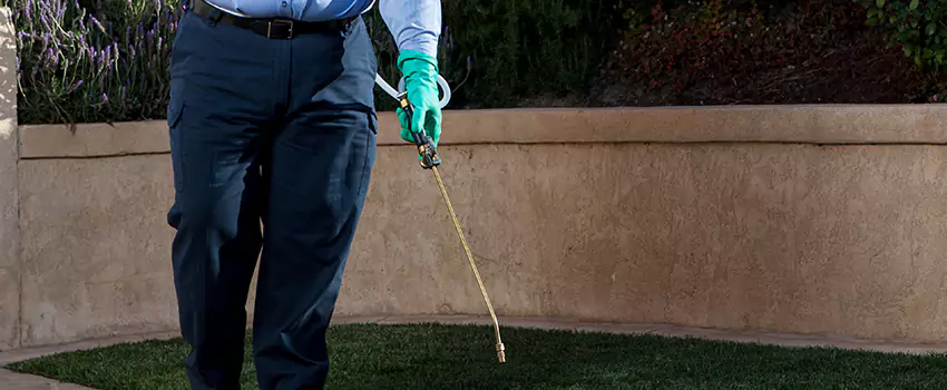 Emergency Pest Extermination for Children and Pets Prosper, TX