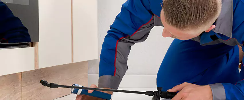 Termite Control for Children and Pets in Prosper, TX