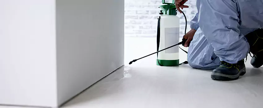 commercial-pest-control in Prosper, TX