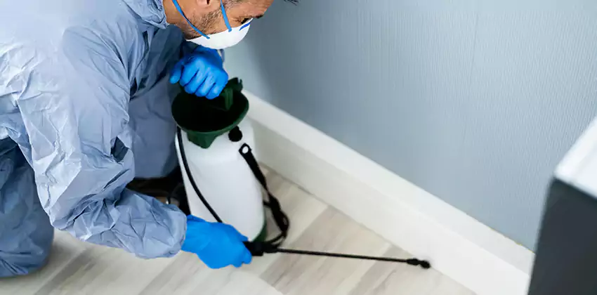 commercial-pest-exterminator in Prosper, TX