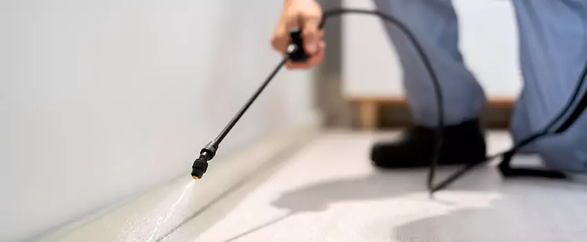 pest-exterminator in Prosper, TX