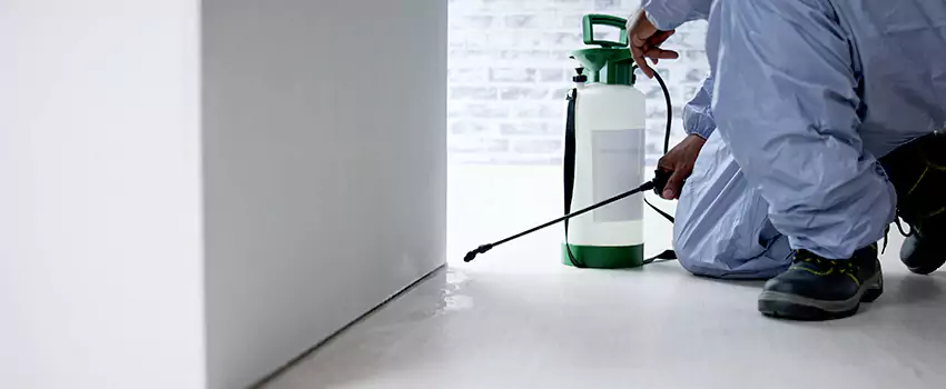 residential-pest in Prosper, TX