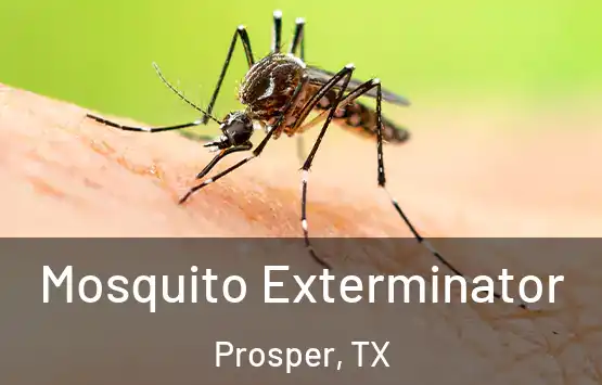  Mosquito Exterminator Prosper, TX