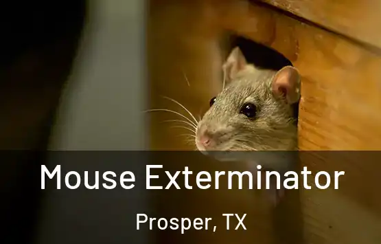  Mouse Exterminator Prosper, TX