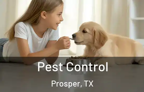 Pest Control Prosper, TX