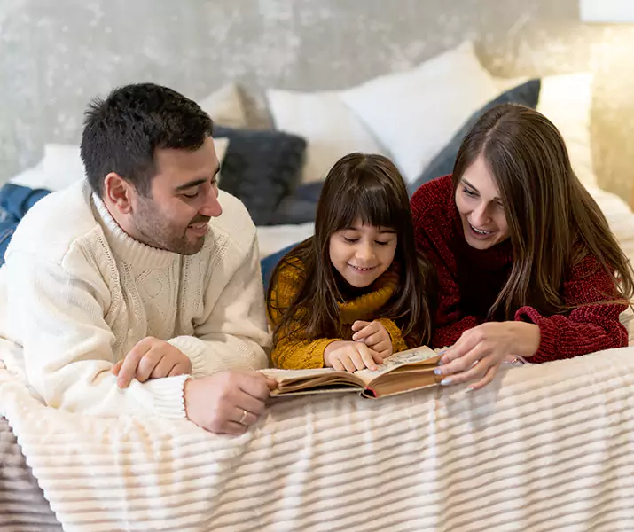 About Bed Bug Pest Control Prosper