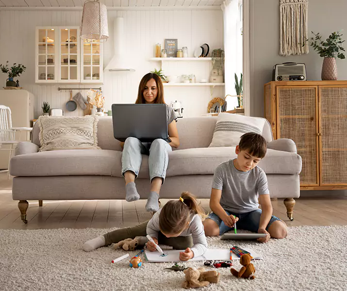 About Mice Control Prosper