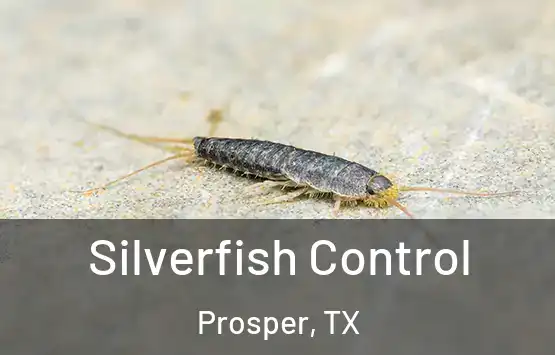  Silverfish Control Prosper, TX