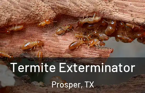  Termite Exterminator Prosper, TX