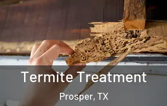  Termite Treatment Prosper, TX