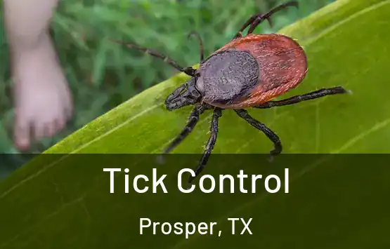  Tick Control Prosper, TX