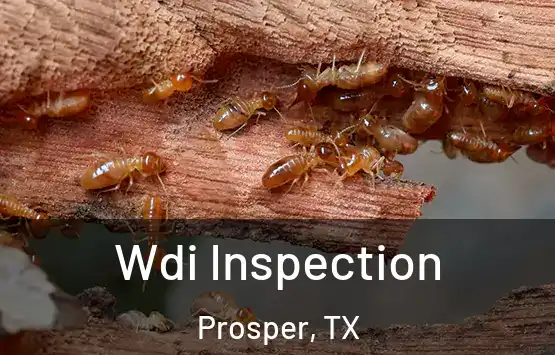  Wdi Inspection Prosper, TX